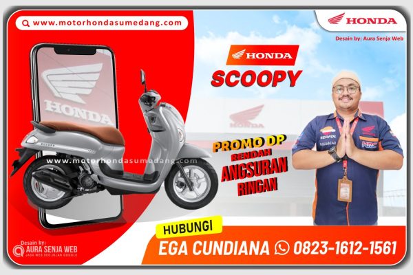 SCOOPY STYLISH